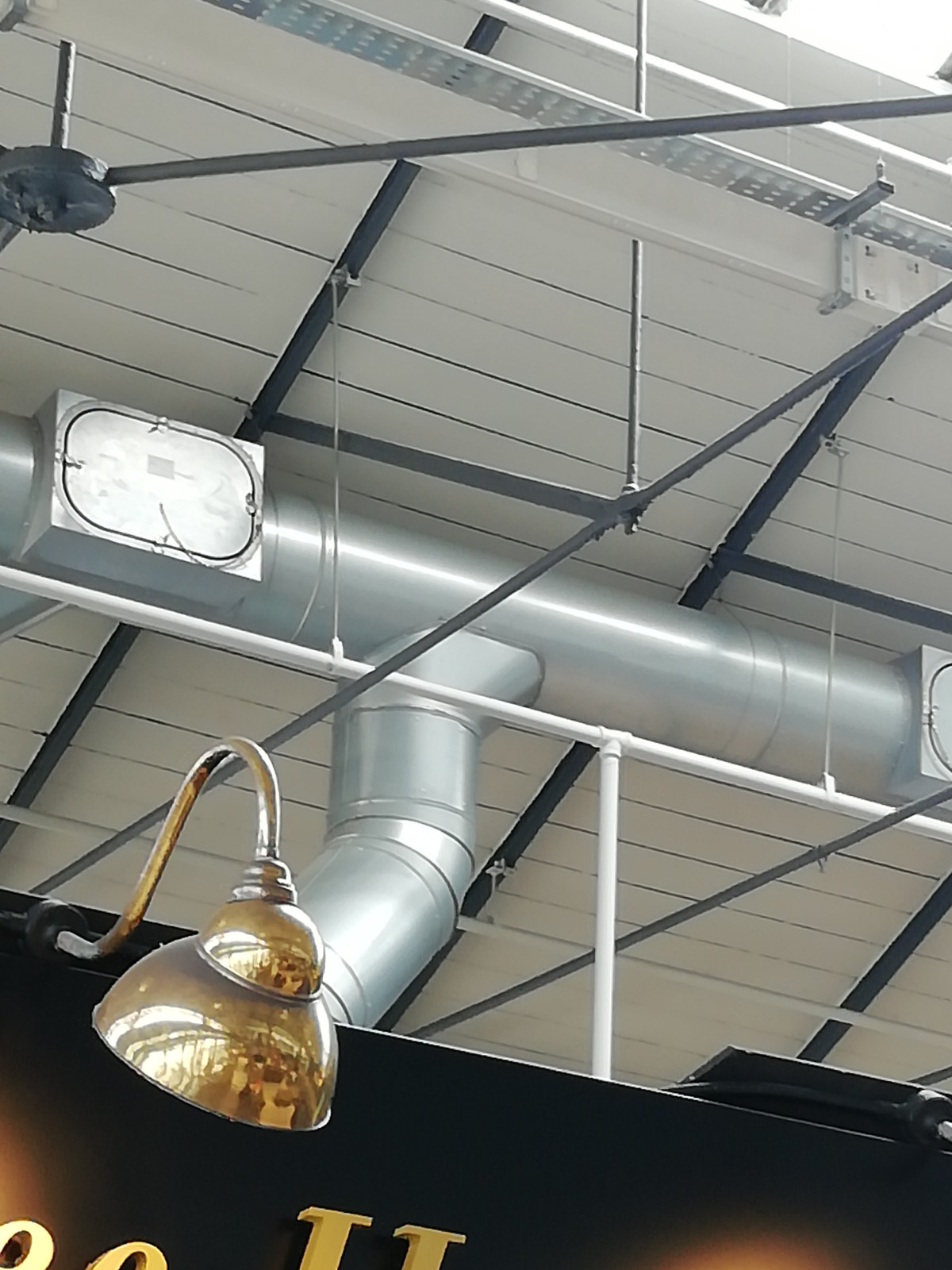 IMG_20190810_114654.jpg image