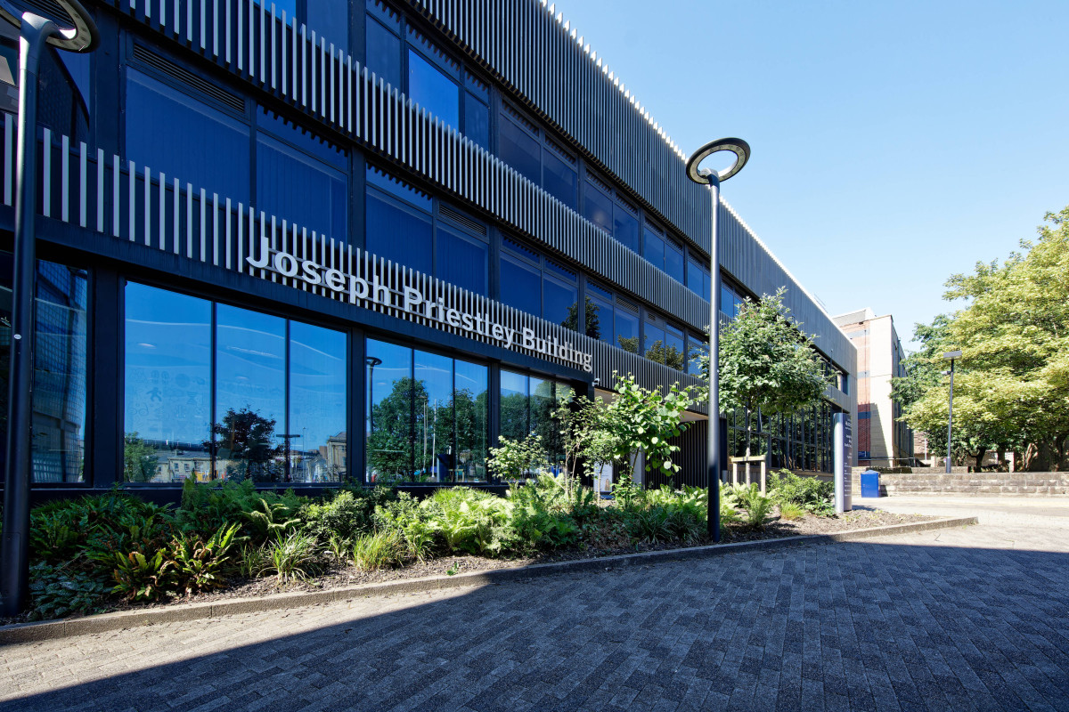 RO-5DSR-20230615-0126.jpg image