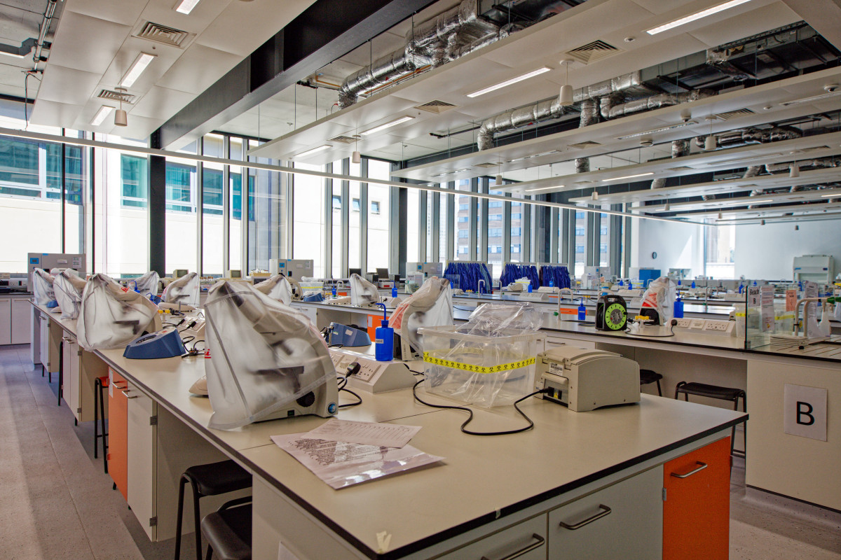 RO-5DSR-20230615-0142.jpg image