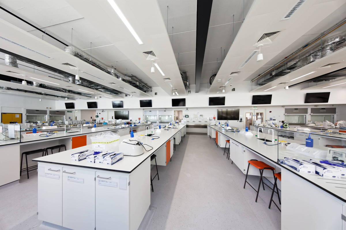 RO-5DSR-20230615-0148.jpg image